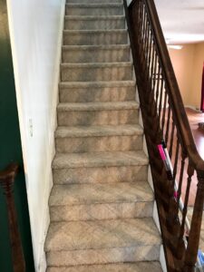 Professional carpet steam cleaning in progress, showing a clean path on a dirty carpet by Bee Clean Carpet Steam Cleaning in Dover, DE.