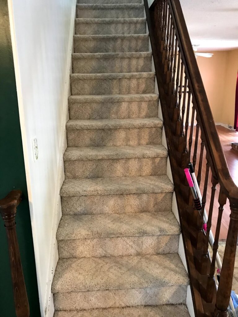 Professional carpet steam cleaning in progress, showing a clean path on a dirty carpet by Bee Clean Carpet Steam Cleaning in Dover, DE.