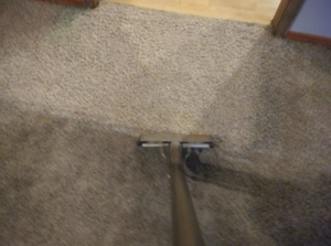Carpet steam cleaning process in action, showing the wand on a dirty carpet by C&S Carpet Cleaning in Cyril, OK.