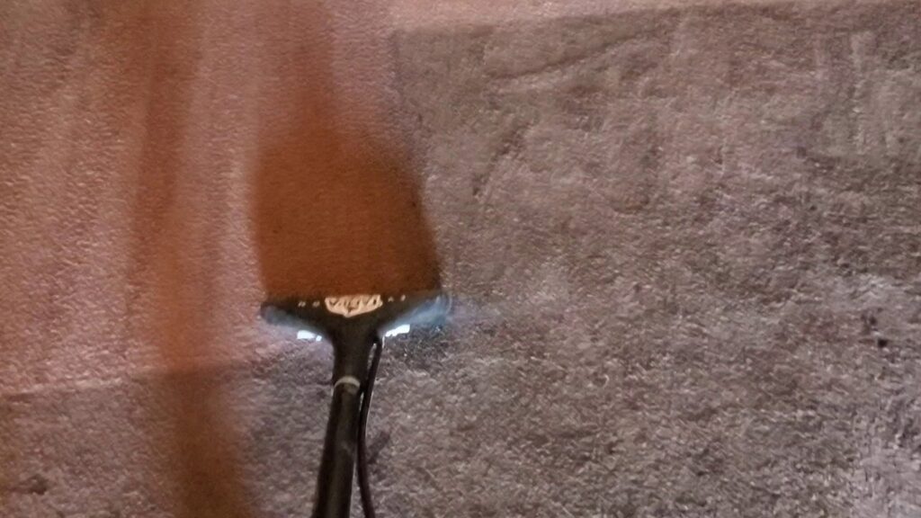 A carpet steam cleaning tool in action, showing the cleaning process by Tampa Steam Team in Plant City, FL.