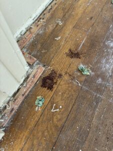 Close-up of carpet tack strips and debris on a hardwood floor after removal by Footprints Floors LA / San Fernando Valley in Studio City, CA.