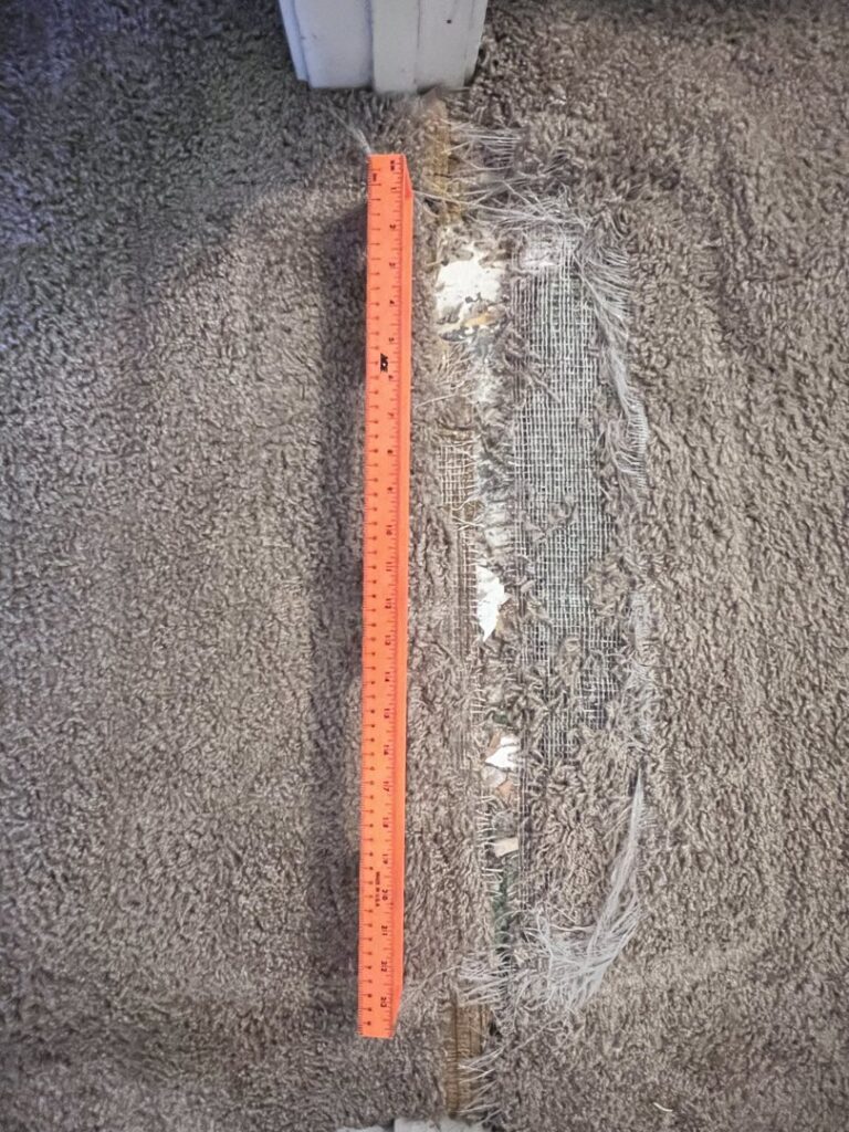 A long tear in a carpet with a ruler for measurement, indicating repair work by Tucson Carpet Repair & Cleaning in Tucson, AZ.