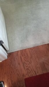 A view of a light-colored carpet transitioning to hardwood flooring installed by The Floor Store in Olive Branch, MS.