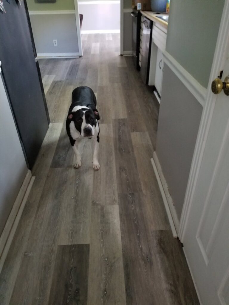 A carpet to LVP flooring transition during an installation project by Quality Floor Covering in Rapid City, SD.