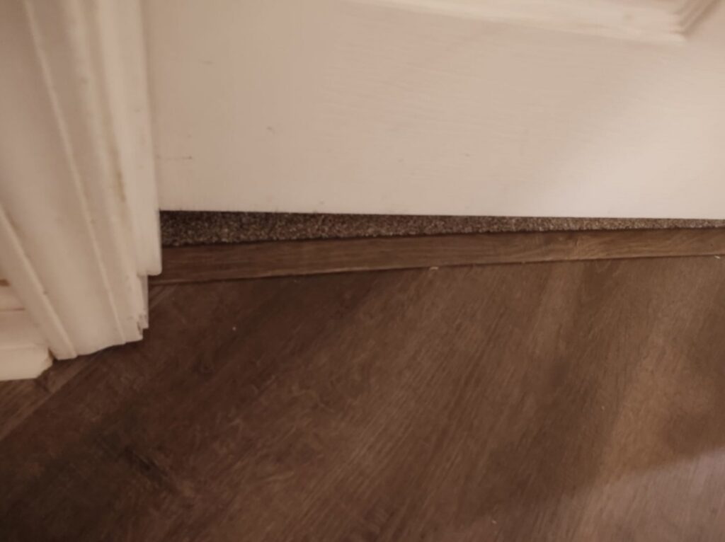 A close-up view of a carpet to wood-look floor transition installed by The Floor Store in Olive Branch, MS.