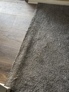 Detailed view of a carpet to wood-look flooring transition installed by Carpet Warehouse in Lafayette, IN.