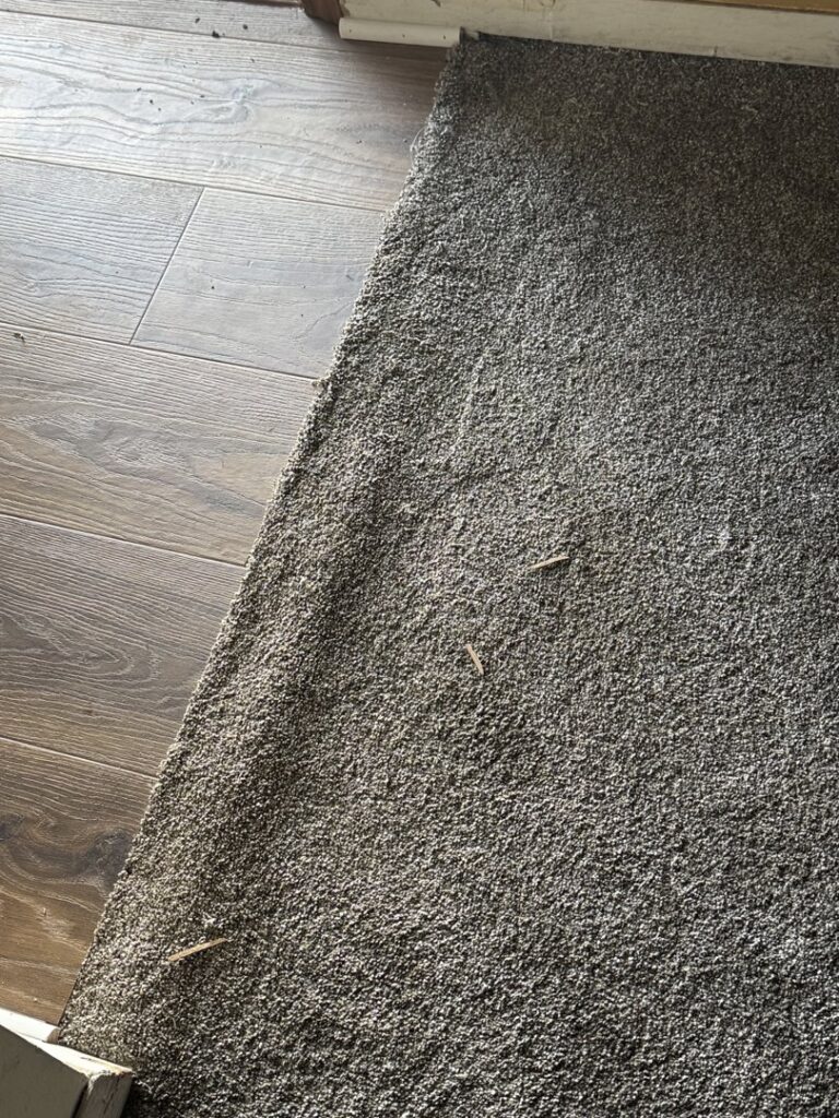 Detailed view of a carpet to wood-look flooring transition installed by Carpet Warehouse in Lafayette, IN.