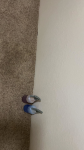 Two spray bottles used for carpet treatment on a brown carpet at a Wilsons Complete Floor Care job in Tucson, AZ