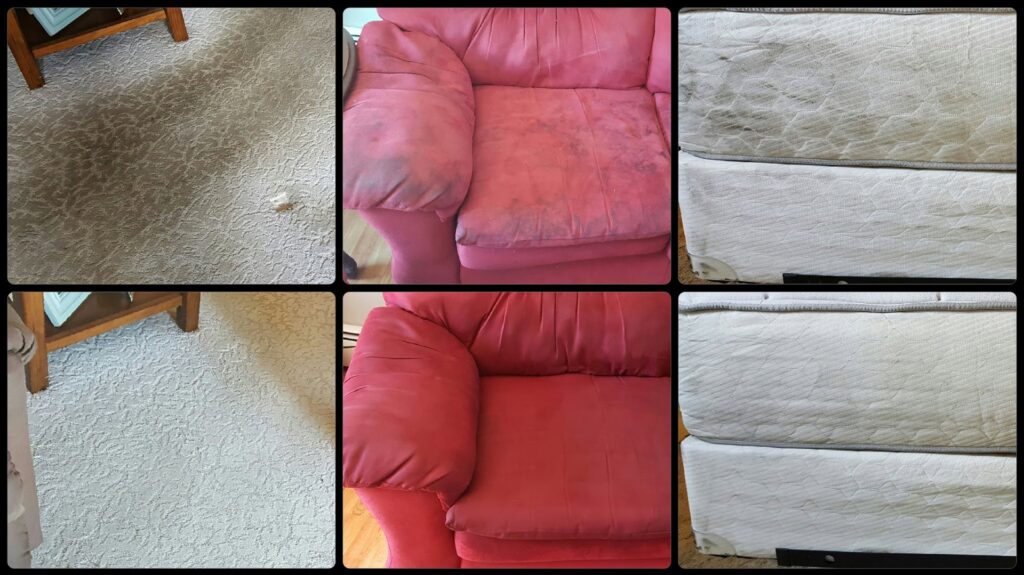 Collage of before and after results for carpet, upholstery, and mattress cleaning by Troy West Carpet Cleaning, Morristown, VT.