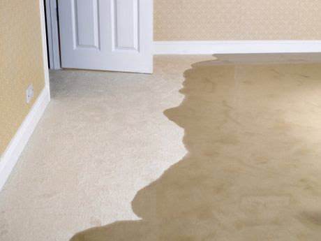 Carpeted floor with visible water damage, indicating a need for restoration services by Atlantic Carpet Care, Inc. in Chesapeake, VA