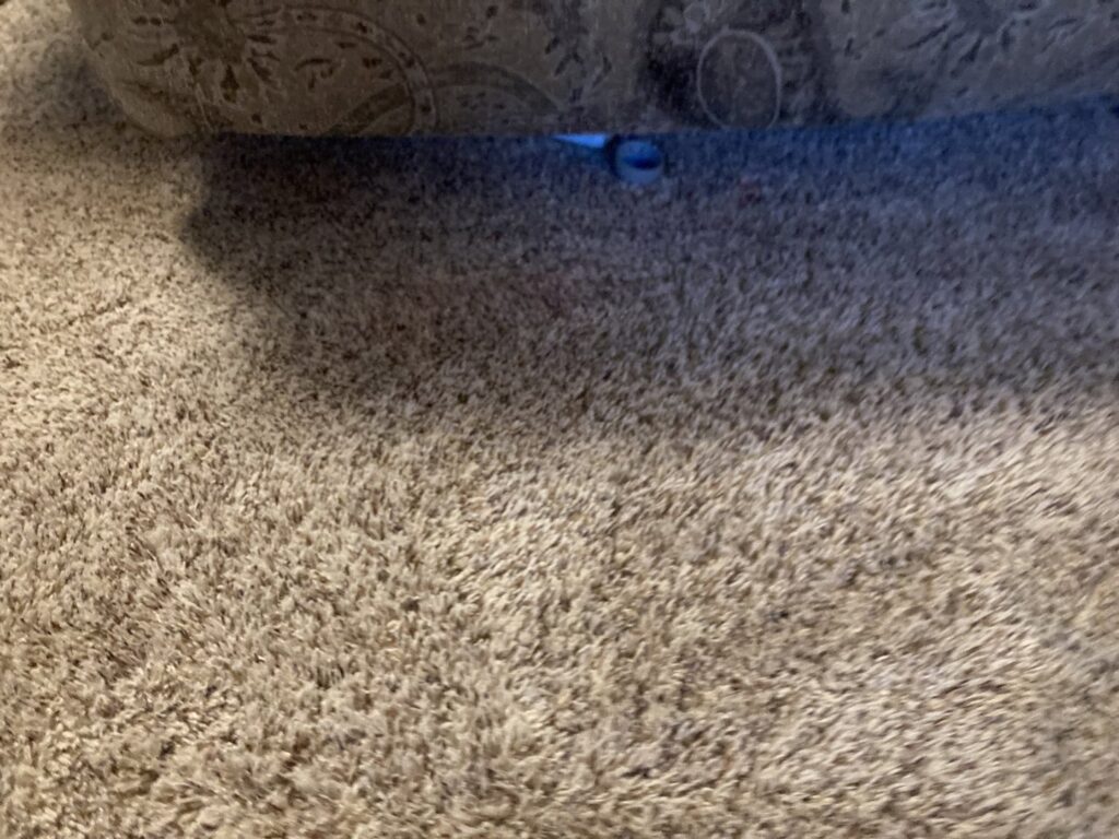 A carpet showing a distinct clean line after professional cleaning by Olen's Carpet & Upholstery Cleaning LLC in Cleveland, OH.