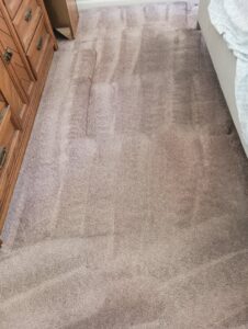 Cleaned carpet showing distinct cleaning lines by All Steamed Up Carpet/Upholstery Cleaning in Havana, FL