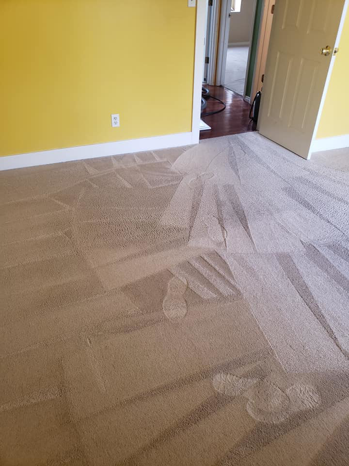 A carpet showing distinct cleaning lines and some wet spots after a professional cleaning by Vibro-Steam of Utah in Ogden, UT.