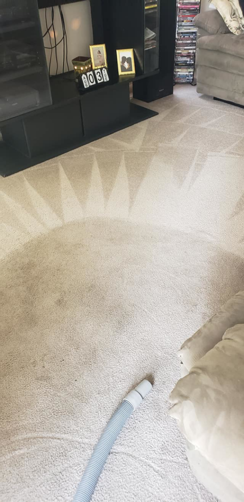 A carpet showing distinct cleaning patterns and a vacuum hose after a professional cleaning by Vibro-Steam of Utah in Ogden, UT.