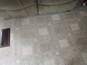 A light-colored carpet showing distinct cleaning patterns after a professional service by Greenco2 in Grand Rapids, MI.