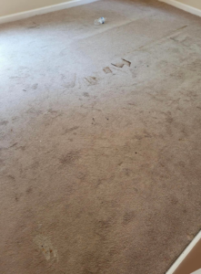 A carpet showing dark stains and marks, indicating a cleaning job by Vision Carpet Cleaning in Lexington, KY.