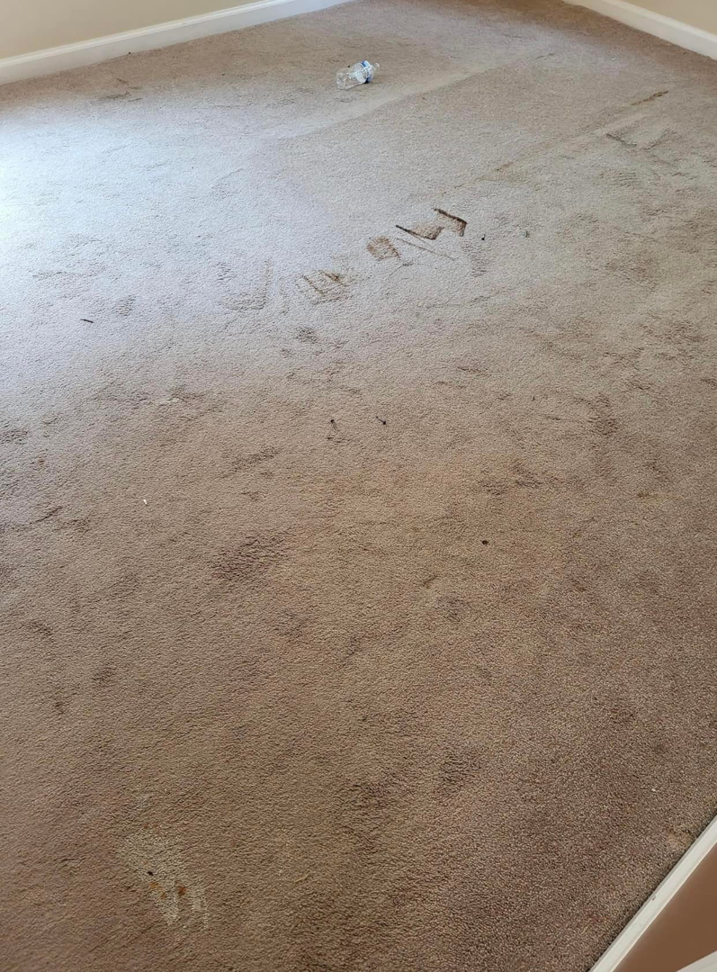 A carpet showing dark stains and marks, indicating a cleaning job by Vision Carpet Cleaning in Lexington, KY.