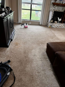 A carpet showing visible stains and cleaning equipment before a job by SAENZ Carpet Cleaning in Dallas, TX.