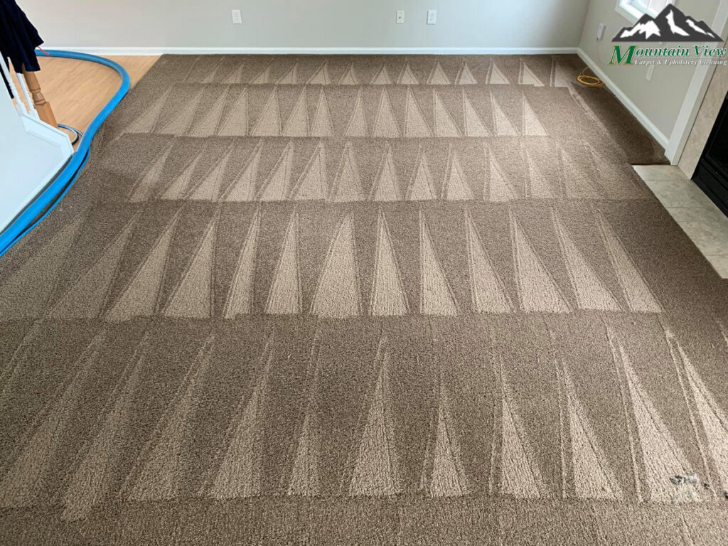 A carpet showing unique triangular patterns after professional cleaning by Mountain View Carpet Care in Vancouver, WA