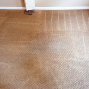 A carpet showing distinct cleaning lines, indicating professional service by Hillsboro Carpet Cleaning in Hillsboro, OR.