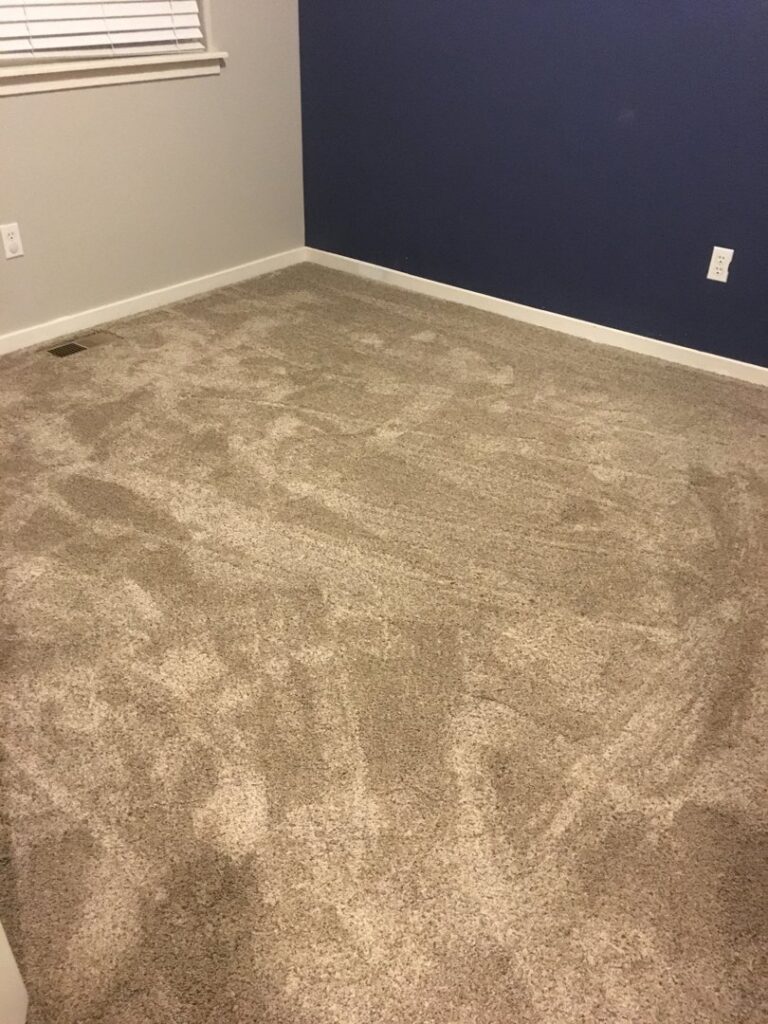 A bedroom with newly installed carpet and a blue accent wall, completed by Carpet Connection of Denver in Aurora, CO.