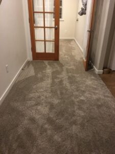 A carpeted hallway leading to a room with a French door, a completed project by Carpet Connection of Denver in Aurora, CO.