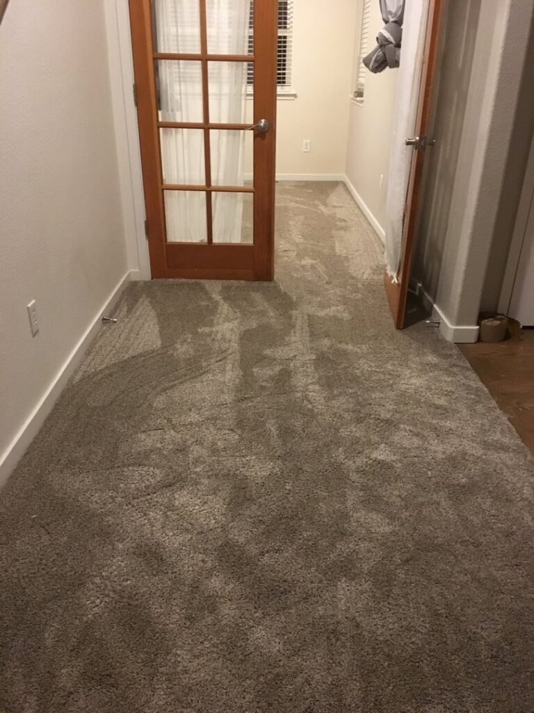 A carpeted hallway leading to a room with a French door, a completed project by Carpet Connection of Denver in Aurora, CO.
