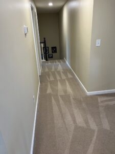 Carpeted hallway showing fresh cleaning lines from Roberts Cleaning Services in Zionsville, IN.