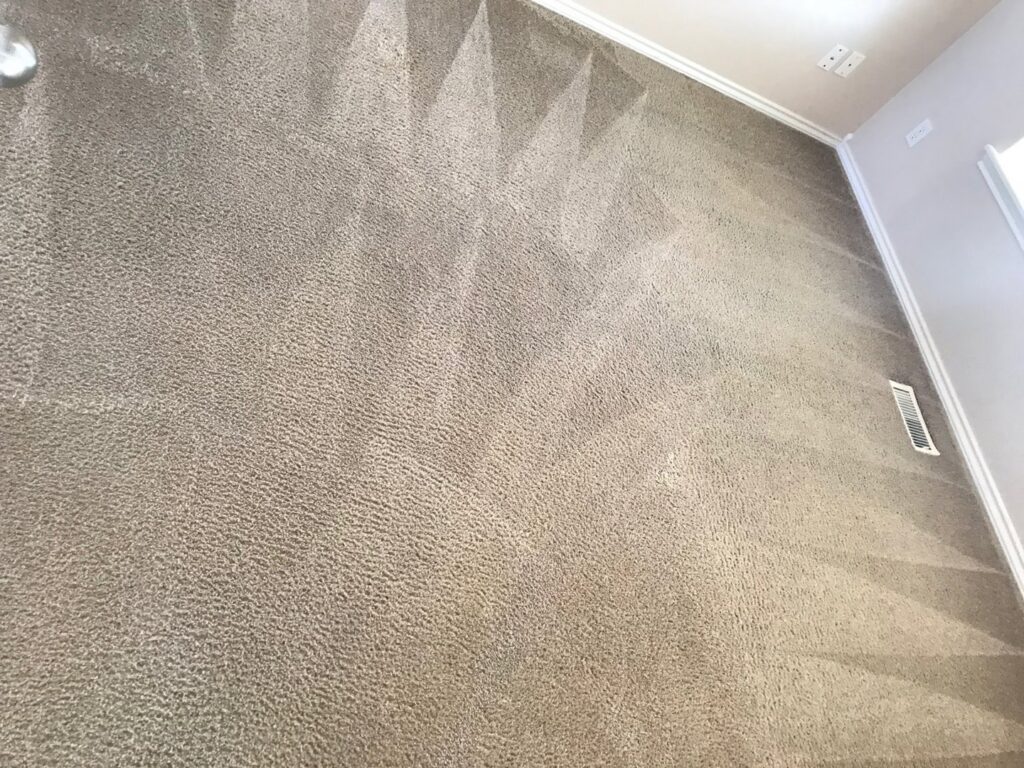 A carpeted room showcasing fresh cleaning lines after a service by Kung Fu Carpets and Cleaning Co., Meridian, ID.