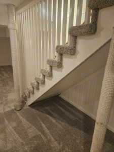 A newly carpeted staircase and basement area installed by Carpets Mostly in Indianapolis, IN