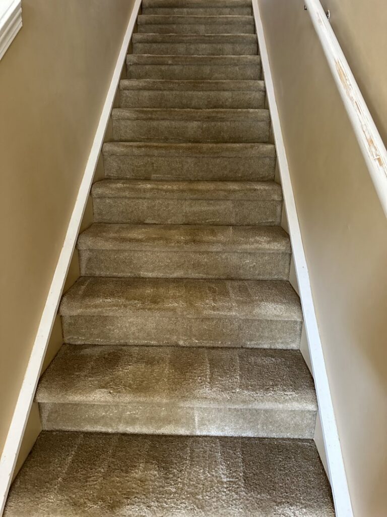 A carpeted staircase showing a clear before and after cleaning result by Zerorez Nashville, TN