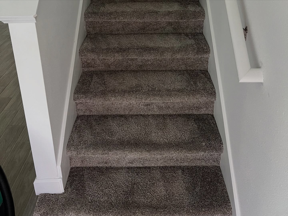 A clean, carpeted staircase, showcasing the work of LSA mobile cleaning, a carpet contractor in Winter Garden, FL