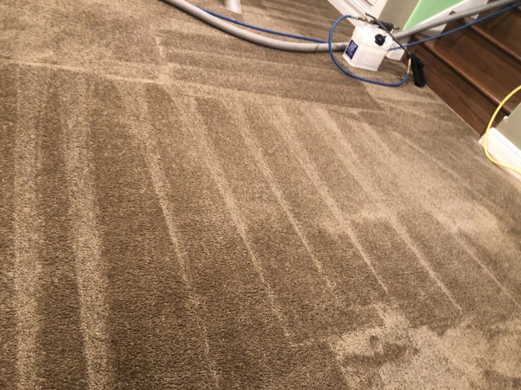 A brown carpeted staircase showing a clear line between the cleaned and uncleaned sections, demonstrating the work of Steam Choice Carpet Care Inc in Chicago, IL.