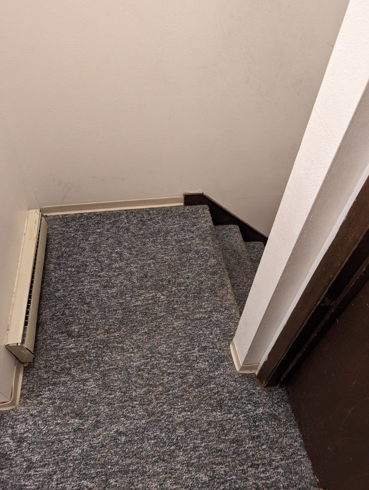 A view of a carpeted staircase, showcasing an area that Pristine Carpet Care LLC services in Longmont, CO.