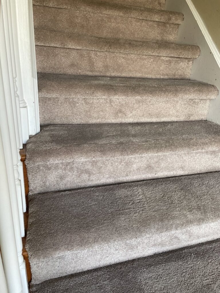 Carpeted stairs showing a clear before and after comparison of cleaning, demonstrating the work of HutchPro Carpet Cleaning Plus in Indianapolis, IN.