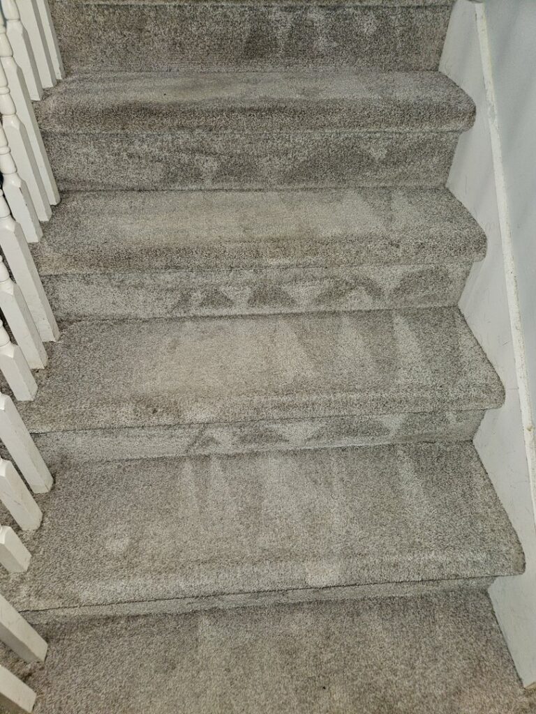 Carpeted stairs showing signs of wear and dirt, indicating a need for professional cleaning from Carpet & Rug Cleaning in Mount Pleasant, SC.
