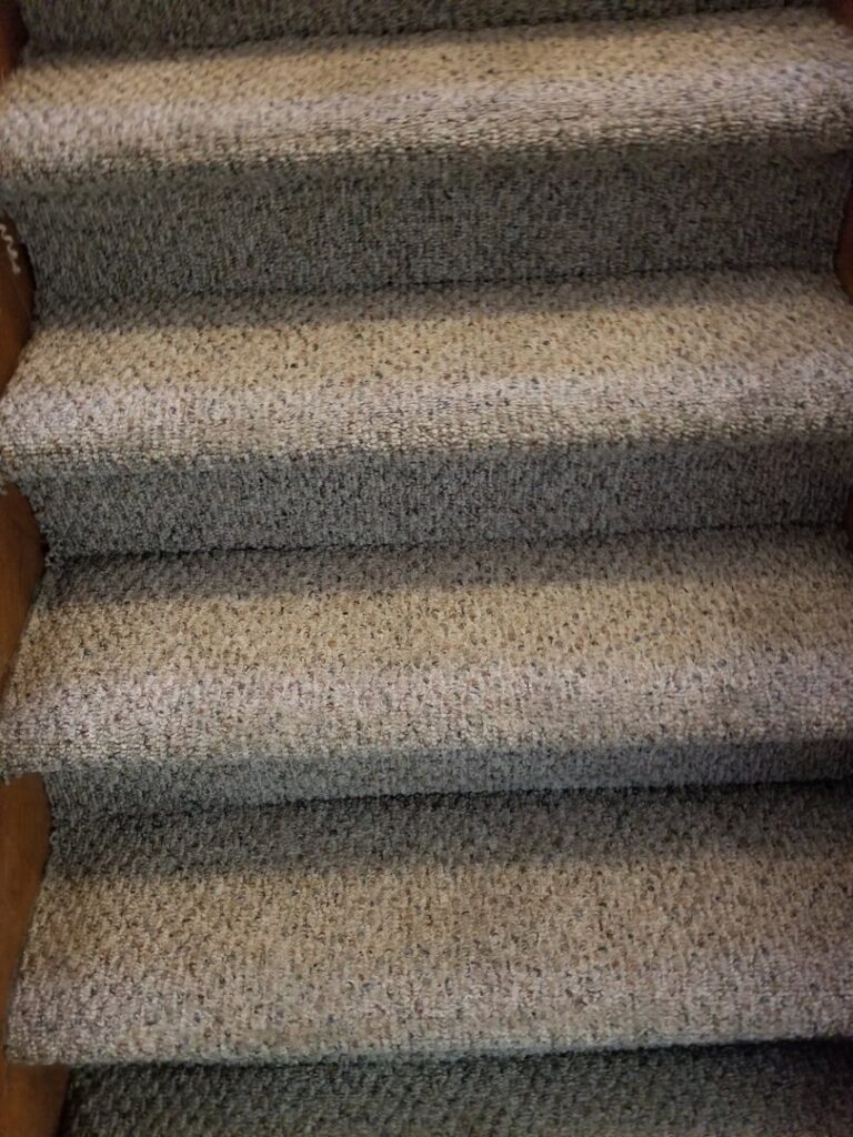 Carpeted stairs showing a clean section after service by Legendary Carpet Care+ in Toledo, OH.