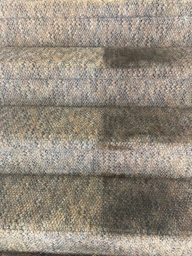 Close-up of carpeted stairs showing a section cleaned by Celtic Carpet Cleaner in Fort Lauderdale, FL, next to an uncleaned section.
