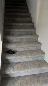Newly installed carpet on a staircase by Rugratz Flooring in Morgantown, WV.