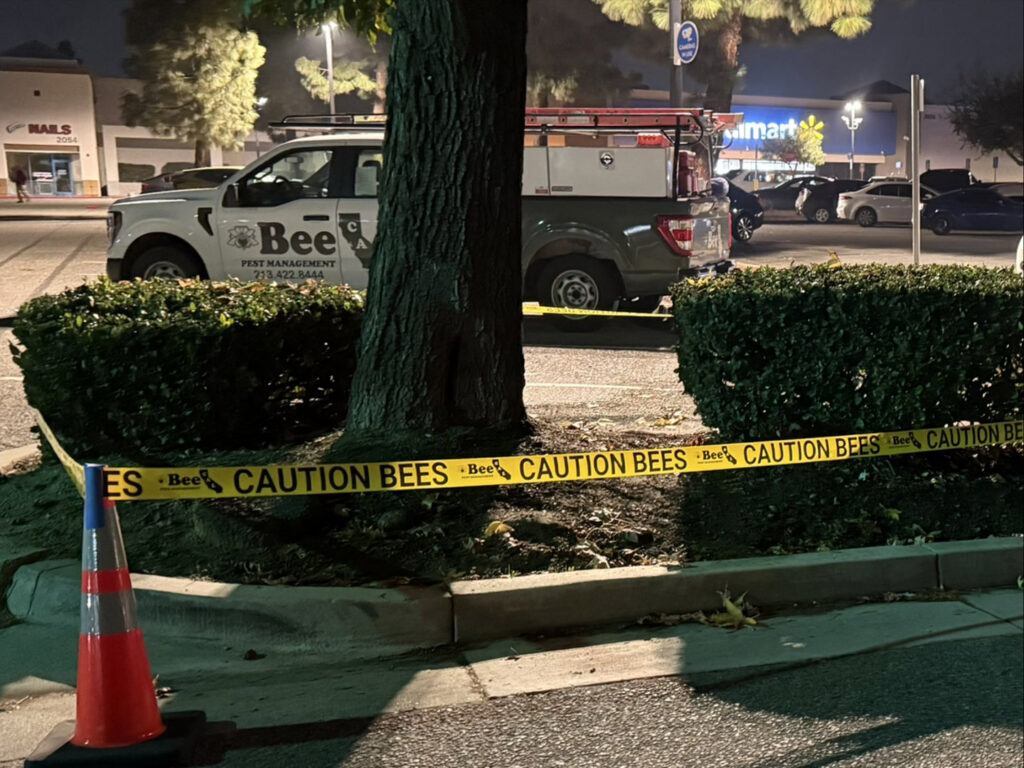 Caution tape warning of bees around a tree and bushes, with a BeeCal Pest Management truck in the background in Los Angeles, CA