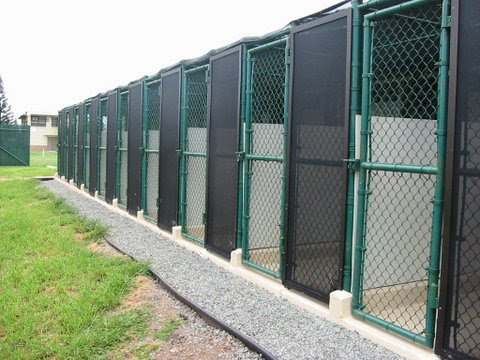 A row of chain-link dog kennels and enclosures built by David's Fencing Inc. in Waipahu, HI.