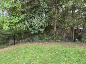 A black chain-link fence installed along a property line, viewed from a grassy lawn by Homestead Fence in Cumberland, RI.