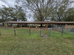 A chain-link fence with a gate for an animal enclosure, installed by The Johnson Family Fencing in Tampa, FL.