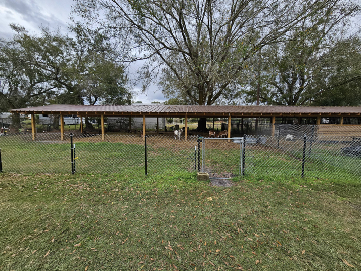 A chain-link fence with a gate for an animal enclosure, installed by The Johnson Family Fencing in Tampa, FL.