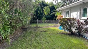A chain link fence with a gate installed in a residential backyard by Palm's Fence of Miami, FL.