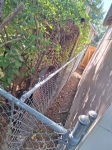 A chain-link fence installed along the side of a building by Pride Fence in Peabody, MA.
