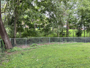 A newly installed chain-link fence in a residential backyard by Vanguard Fencing LLC in Lenexa, KS.