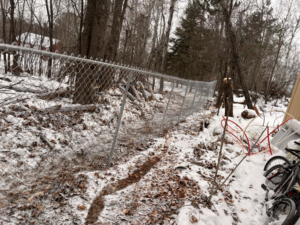 A chain-link fence installed in a snowy, wooded area by 218 Fencing in Duluth, MN.