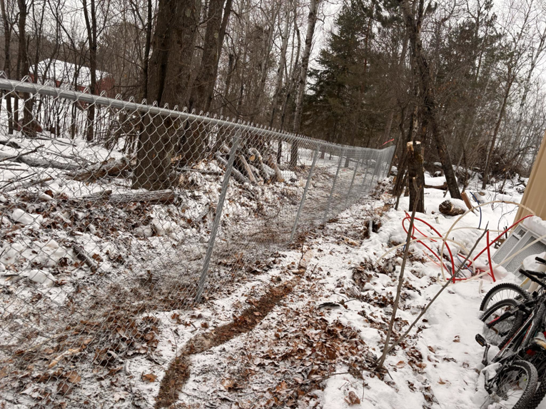 A chain-link fence installed in a snowy, wooded area by 218 Fencing in Duluth, MN.