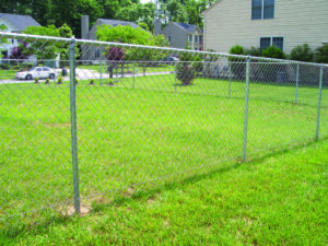 A chain-link fence installed in a residential backyard by Crompton Fence Company in Charleston, SC.